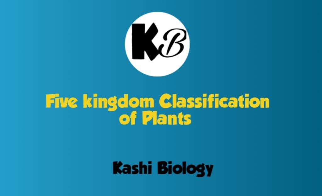 five kingdom classification of plants