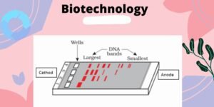 Basic of Biotechnology