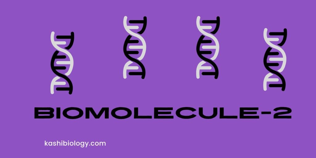 mcq of biolmolecules