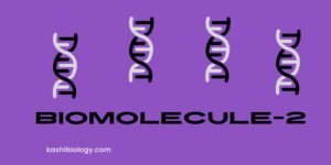 mcq of biolmolecules