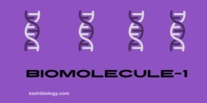 Biomolecules mcq