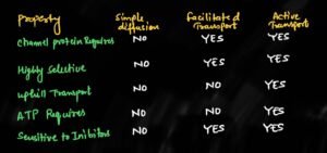 comparison in different transport