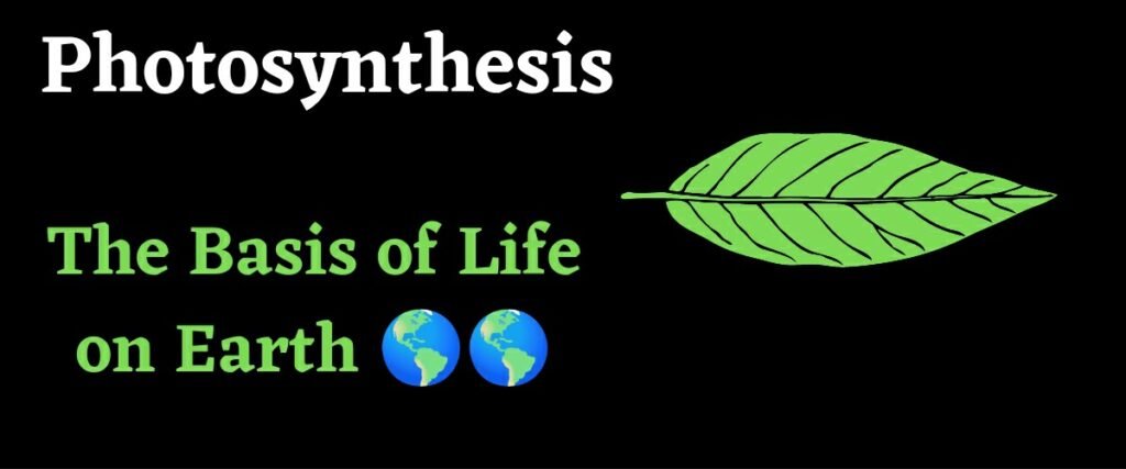 definition of photosynthesis