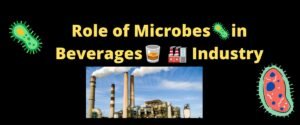 microbes in industry