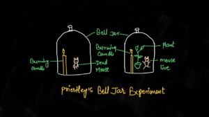 bell jar experiment 