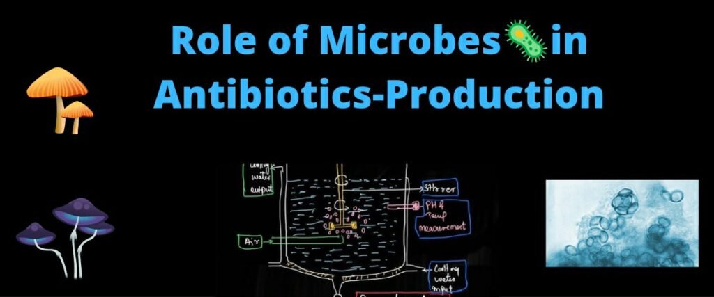 antibiotic class 12