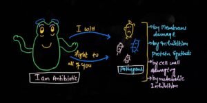 microbes producing antibiotics