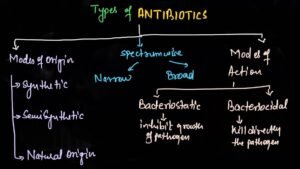 antibiotics types