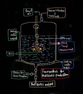 how antibiotic produces