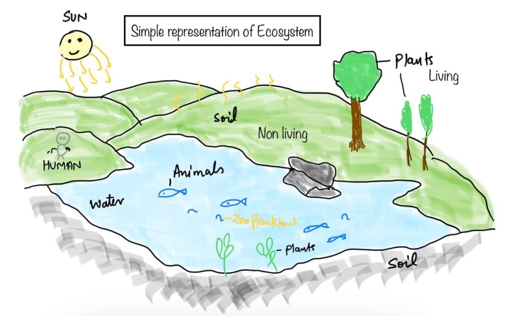The need for stream vegetated buffers [electronic resource] : what does the  science say? . Buffer zones (Ecosystem management); Water quality; Habitat ( Ecology); Stream ecology; Riparian ecology. Scientific Recommendations on  the