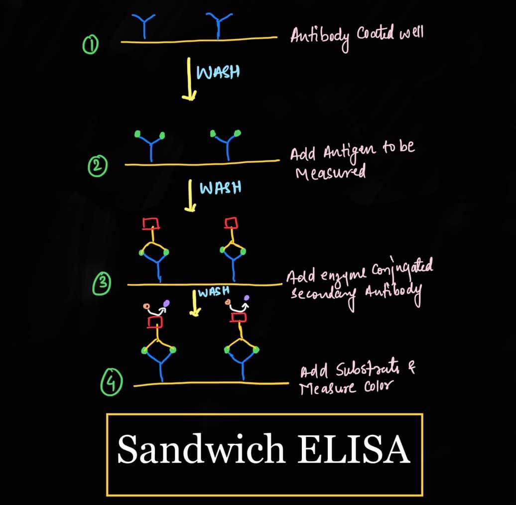 ELISA-Class Notes Types, Protocol - KashiBiology