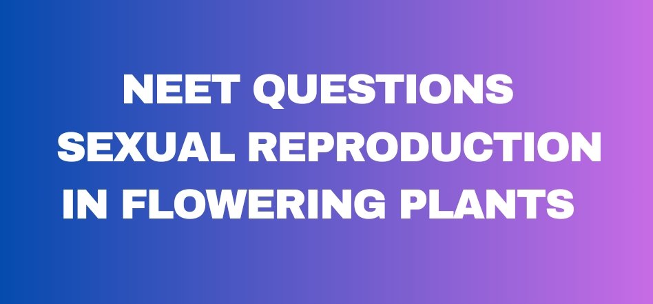 Important sexual reproduction in flowering plants NEET questions